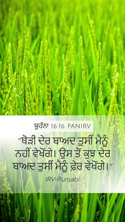 ਯੂਹੰਨਾ 16:16 PANIRV Bible Verse Image