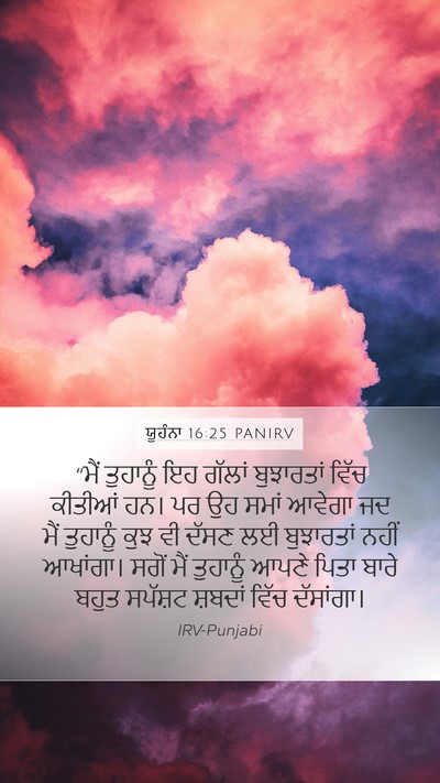 ਯੂਹੰਨਾ 16:25 PANIRV Bible Verse Image