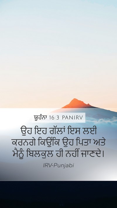 ਯੂਹੰਨਾ 16:3 PANIRV Bible Verse Image