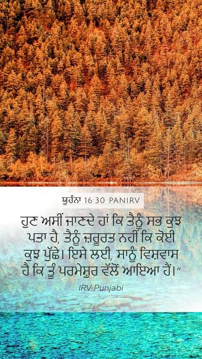 ਯੂਹੰਨਾ 16:30 PANIRV Bible Verse Image