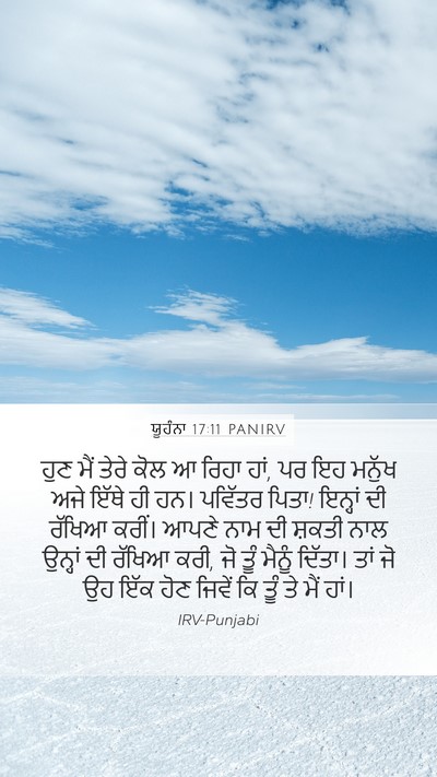 ਯੂਹੰਨਾ 17:11 PANIRV Bible Verse Image
