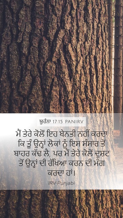 ਯੂਹੰਨਾ 17:15 PANIRV Bible Verse Image