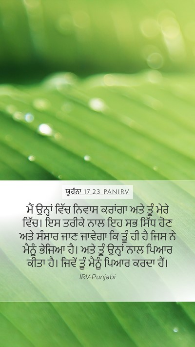 ਯੂਹੰਨਾ 17:23 PANIRV Bible Verse Image