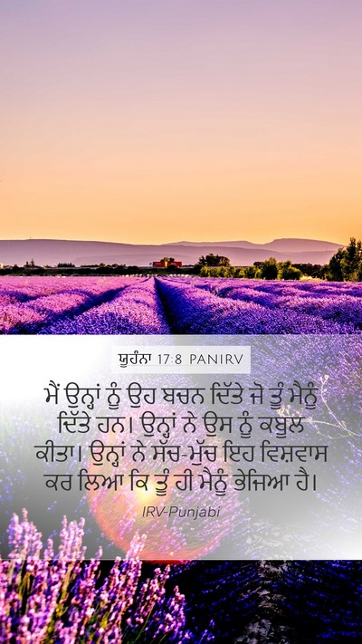 ਯੂਹੰਨਾ 17:8 PANIRV Bible Verse Image