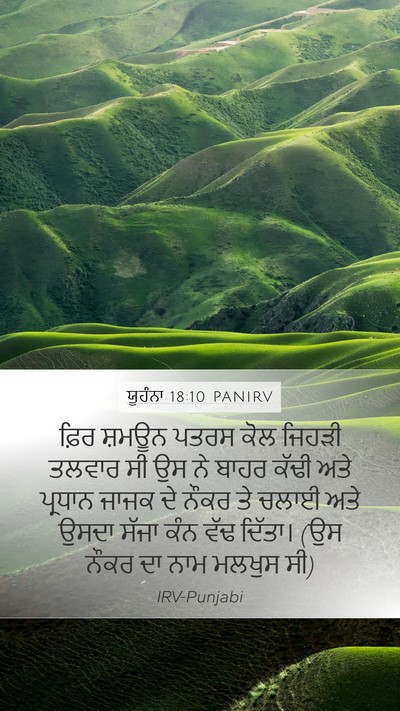 ਯੂਹੰਨਾ 18:10 PANIRV Bible Verse Image