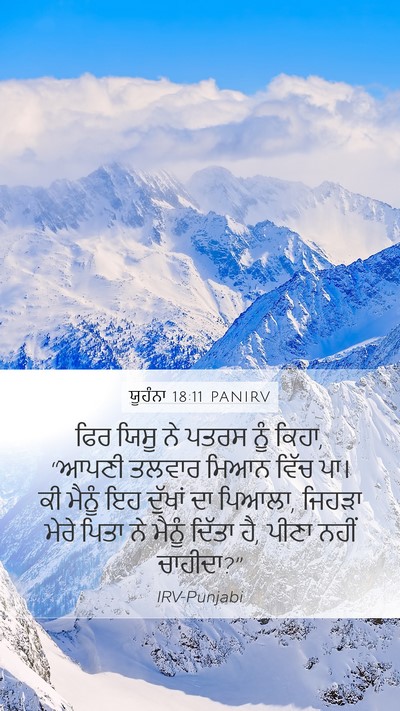 ਯੂਹੰਨਾ 18:11 PANIRV Bible Verse Image