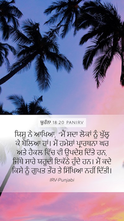 ਯੂਹੰਨਾ 18:20 PANIRV Bible Verse Image