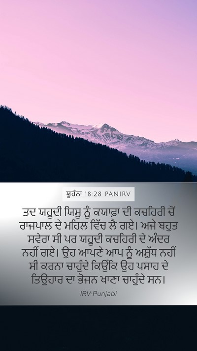 ਯੂਹੰਨਾ 18:28 PANIRV Bible Verse Image