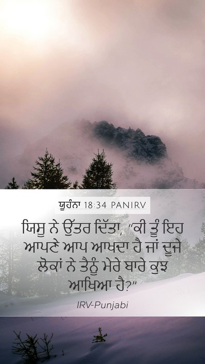 ਯੂਹੰਨਾ 18:34 PANIRV Mobile Phone Wallpaper - ਯਿਸੂ ਨੇ ਉੱਤਰ ਦਿੱਤਾ, - Mobile Bible Verse Wallpaper