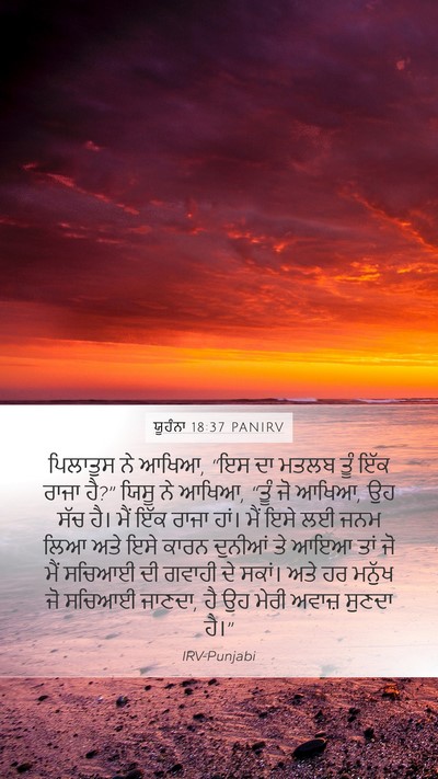 ਯੂਹੰਨਾ 18:37 PANIRV Bible Verse Image