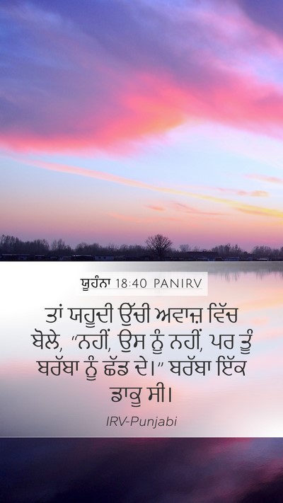 ਯੂਹੰਨਾ 18:40 PANIRV Bible Verse Image