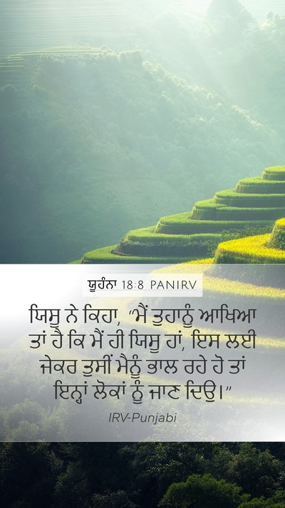 ਯੂਹੰਨਾ 18:8 PANIRV Bible Verse Image