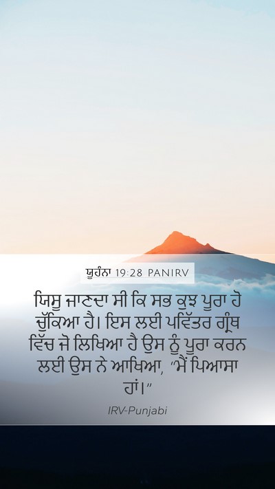 ਯੂਹੰਨਾ 19:28 PANIRV Bible Verse Image