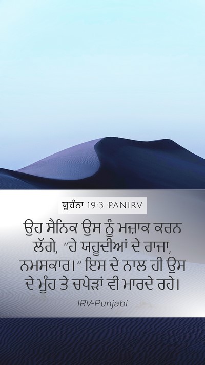 ਯੂਹੰਨਾ 19:3 PANIRV Bible Verse Image