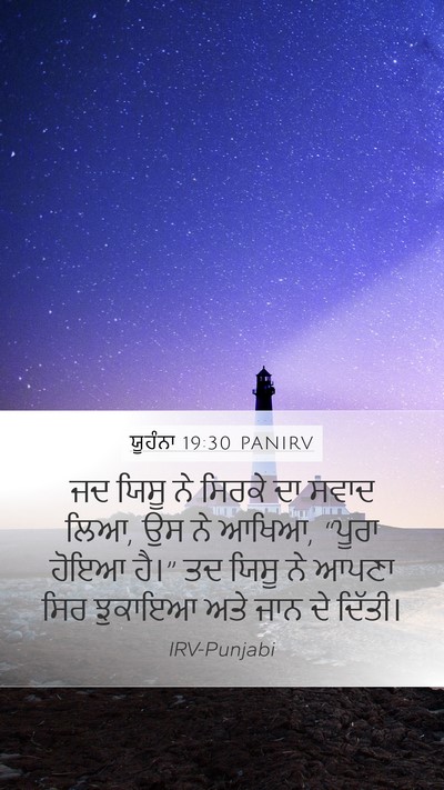 ਯੂਹੰਨਾ 19:30 PANIRV Bible Verse Image