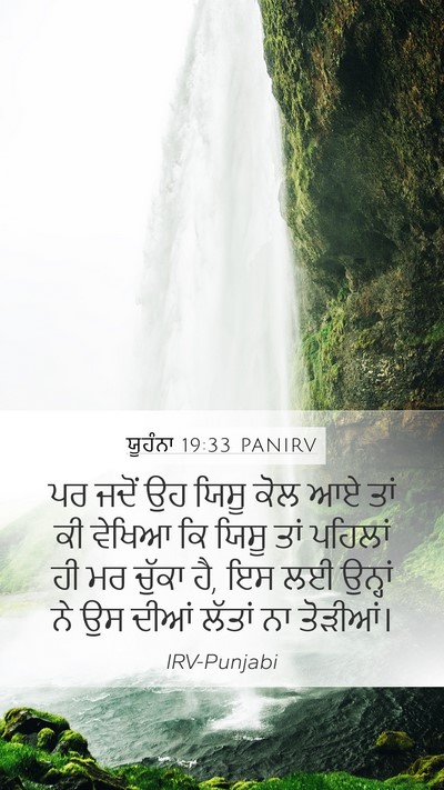 ਯੂਹੰਨਾ 19:33 PANIRV Bible Verse Image