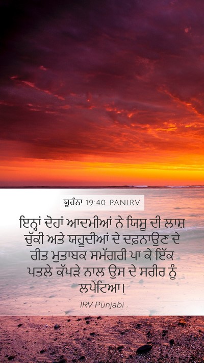 ਯੂਹੰਨਾ 19:40 PANIRV Bible Verse Image
