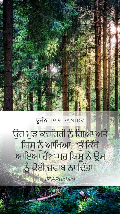 ਯੂਹੰਨਾ 19:9 PANIRV Bible Verse Image