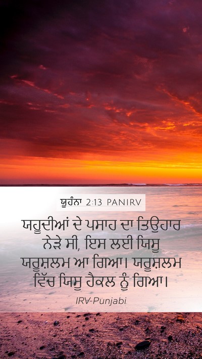 ਯੂਹੰਨਾ 2:13 PANIRV Bible Verse Image