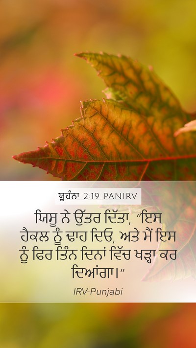 ਯੂਹੰਨਾ 2:19 PANIRV Bible Verse Image