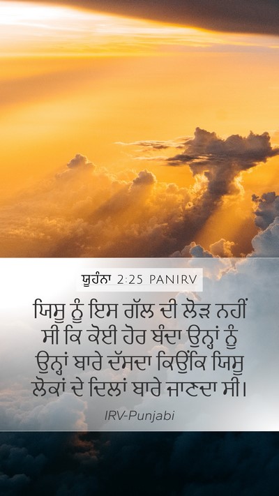 ਯੂਹੰਨਾ 2:25 PANIRV Bible Verse Image