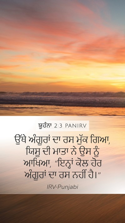 ਯੂਹੰਨਾ 2:3 PANIRV Bible Verse Image
