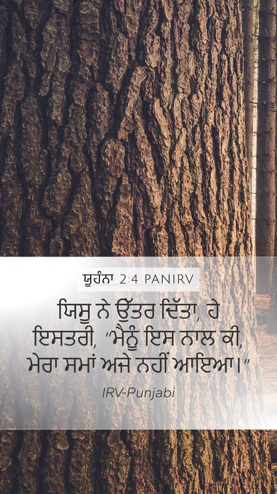 ਯੂਹੰਨਾ 2:4 PANIRV Bible Verse Image