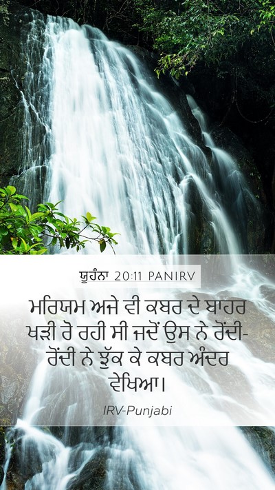 ਯੂਹੰਨਾ 20:11 PANIRV Bible Verse Image