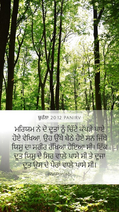 ਯੂਹੰਨਾ 20:12 PANIRV Bible Verse Image