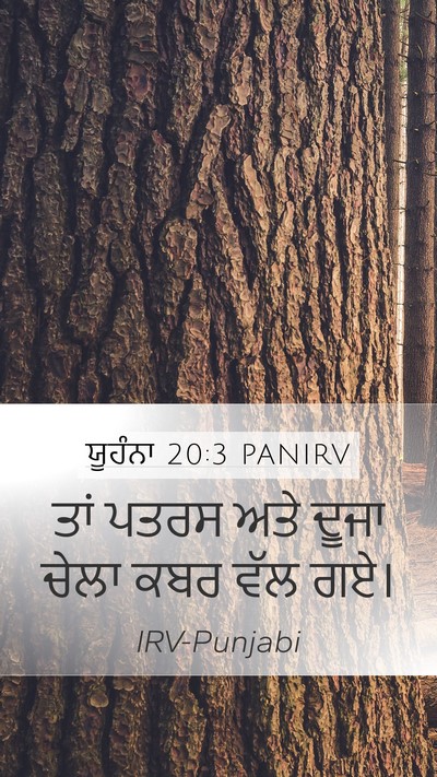 ਯੂਹੰਨਾ 20:3 PANIRV Bible Verse Image