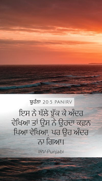 ਯੂਹੰਨਾ 20:5 PANIRV Mobile Phone Wallpaper - ਇਸ ਨੇ ਥੱਲੇ ਝੁੱਕ ਕੇ - Mobile Bible Verse Wallpaper