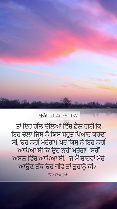 ਯੂਹੰਨਾ 21:23 PANIRV Bible Verse Image
