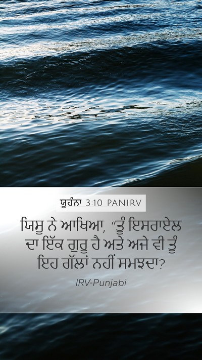 ਯੂਹੰਨਾ 3:10 PANIRV Bible Verse Image
