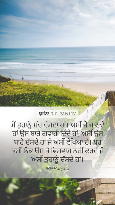 ਯੂਹੰਨਾ 3:11 PANIRV Bible Verse Image