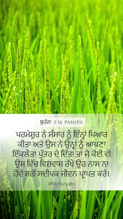 ਯੂਹੰਨਾ 3:16 PANIRV Bible Verse Image
