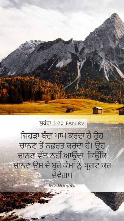 ਯੂਹੰਨਾ 3:20 PANIRV Bible Verse Image