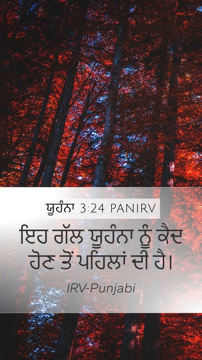 ਯੂਹੰਨਾ 3:24 PANIRV Bible Verse Image