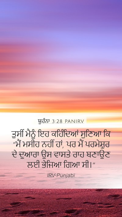 ਯੂਹੰਨਾ 3:28 PANIRV Bible Verse Image
