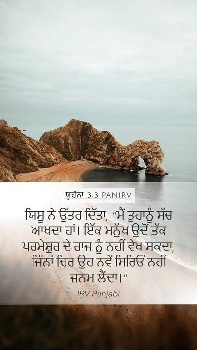 ਯੂਹੰਨਾ 3:3 PANIRV Bible Verse Image