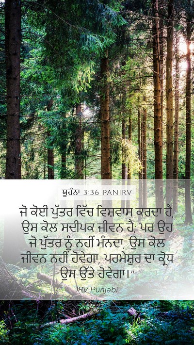 ਯੂਹੰਨਾ 3:36 PANIRV Bible Verse Image