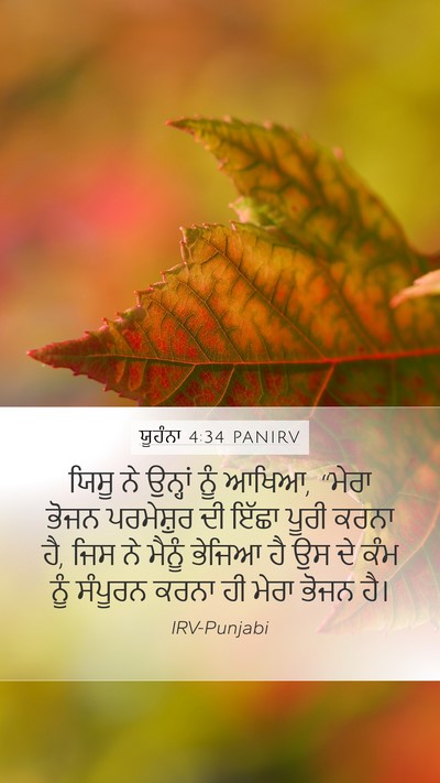 ਯੂਹੰਨਾ 4:34 PANIRV Bible Verse Image