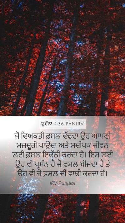 ਯੂਹੰਨਾ 4:36 PANIRV Bible Verse Image