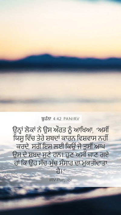ਯੂਹੰਨਾ 4:42 PANIRV Bible Verse Image