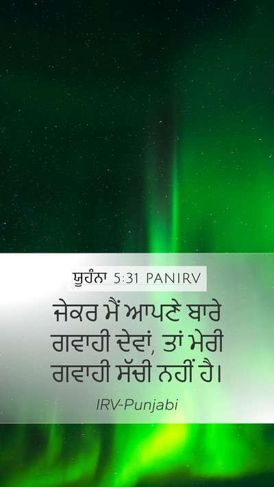ਯੂਹੰਨਾ 5:31 PANIRV Bible Verse Image