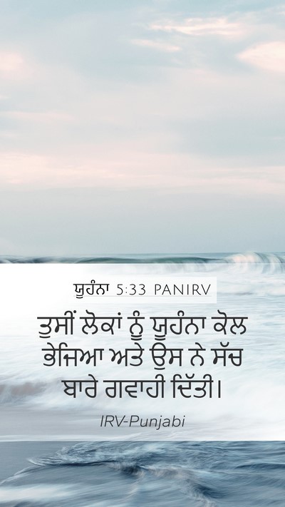ਯੂਹੰਨਾ 5:33 PANIRV Bible Verse Image