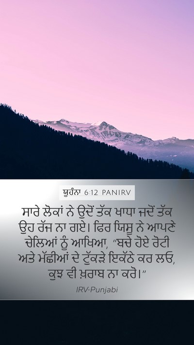 ਯੂਹੰਨਾ 6:12 PANIRV Bible Verse Image