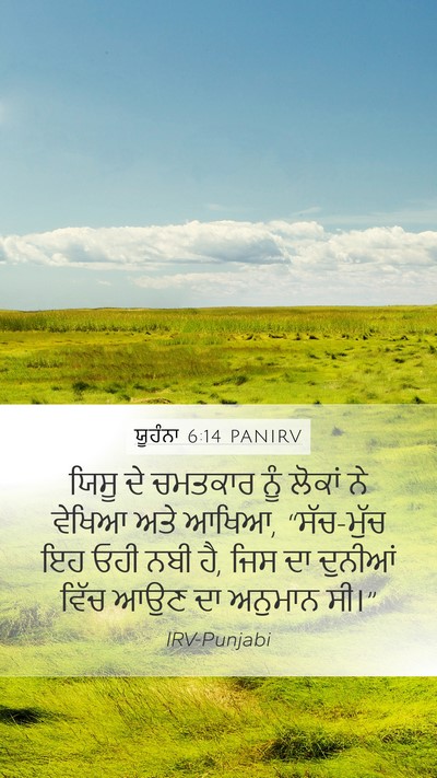 ਯੂਹੰਨਾ 6:14 PANIRV Bible Verse Image