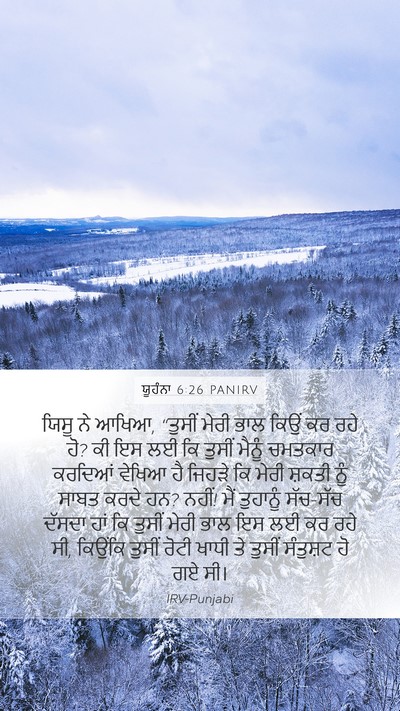 ਯੂਹੰਨਾ 6:26 PANIRV Bible Verse Image