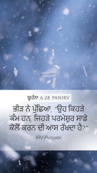 ਯੂਹੰਨਾ 6:28 PANIRV Bible Verse Image