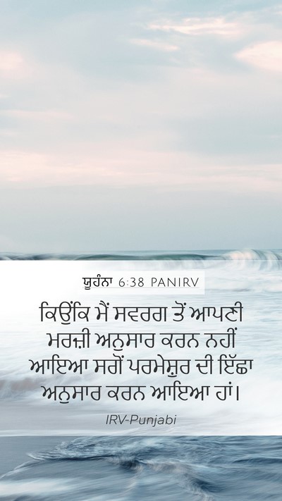 ਯੂਹੰਨਾ 6:38 PANIRV Bible Verse Image
